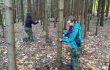 IMG-20241014-WA0050