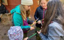 IMG-20241015-WA0019-kopie