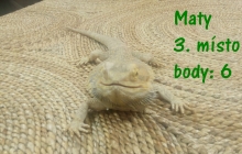 3MP (2)
